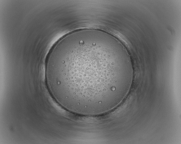 X0000115741079200911121532