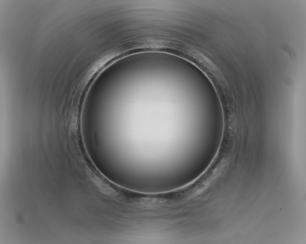 X0000115741081200911121532