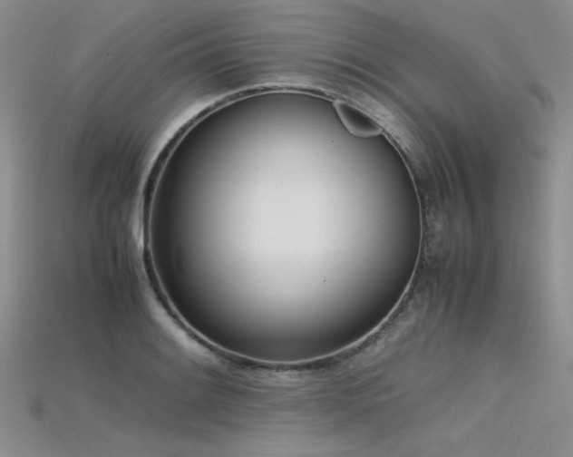 X0000115741084200911121532