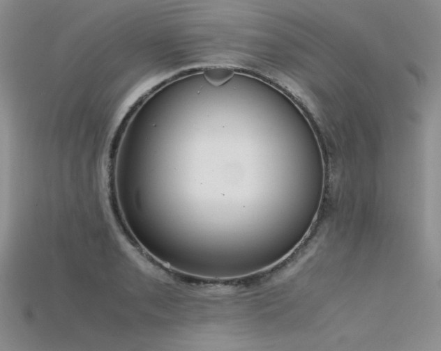 X0000115741085200911121532