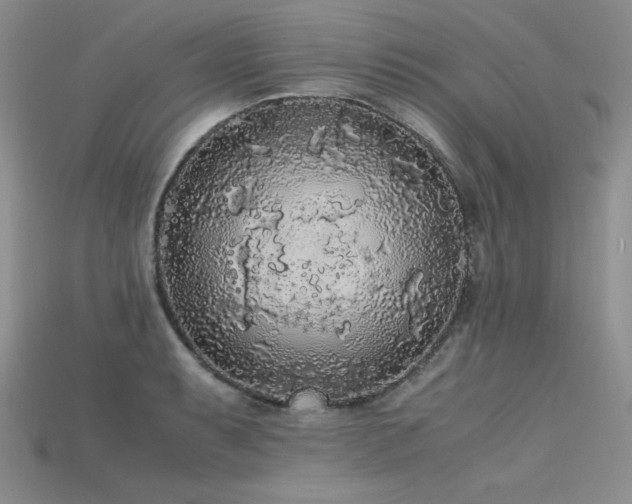 X0000115741087200911121532