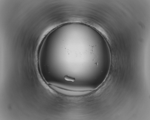 X0000115741088200911121532