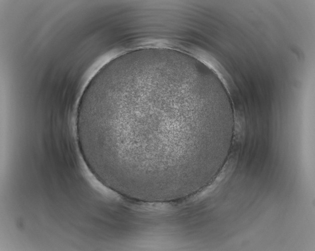 X0000115741090200911121532