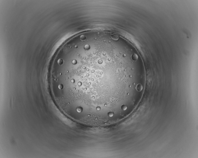 X0000115741091200911121532