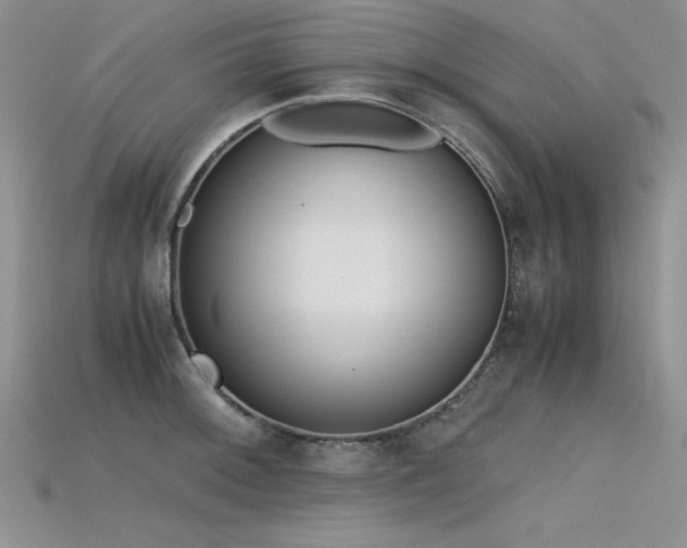 X0000115741092200911121532