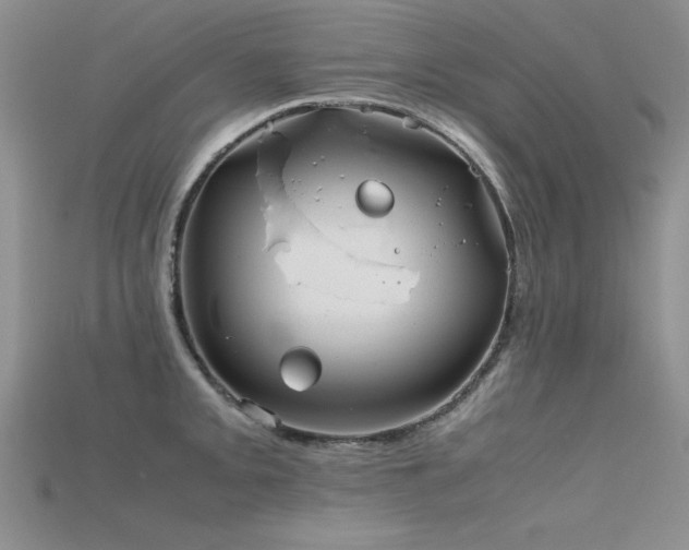 X0000115741093200911121532