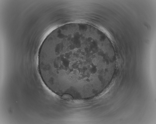 X0000115741095200911121532