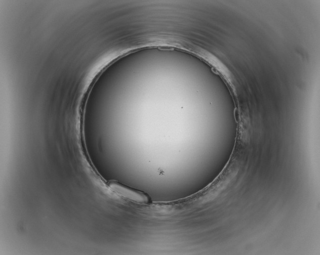 X0000115741096200911121532