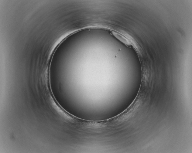 X0000115741100200911121532