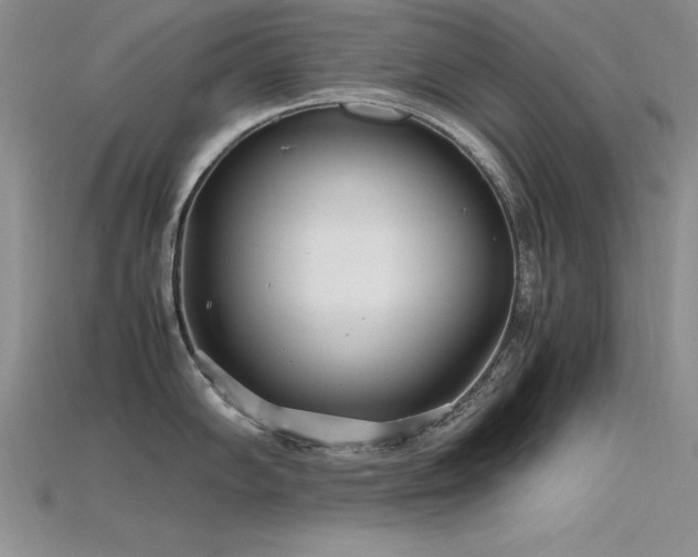 X0000115741102200911121532