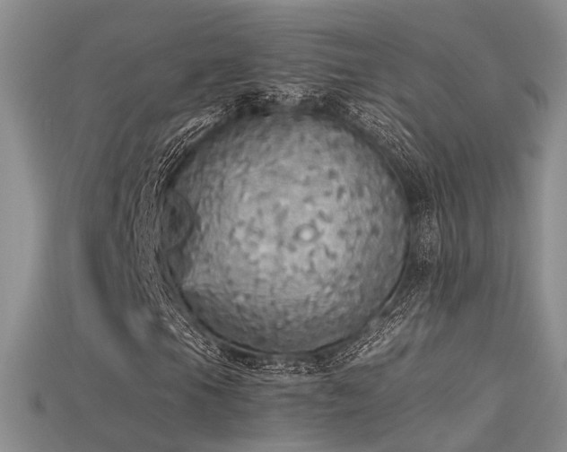 X0000115741105200911121531