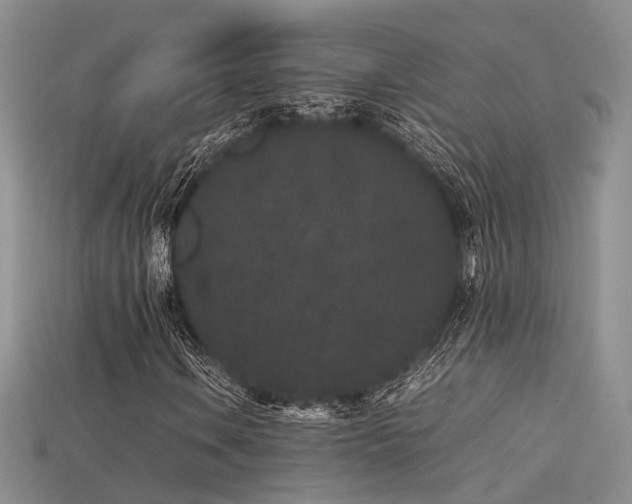 X0000115741106200911121531