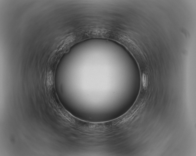 X0000115741107200911121531