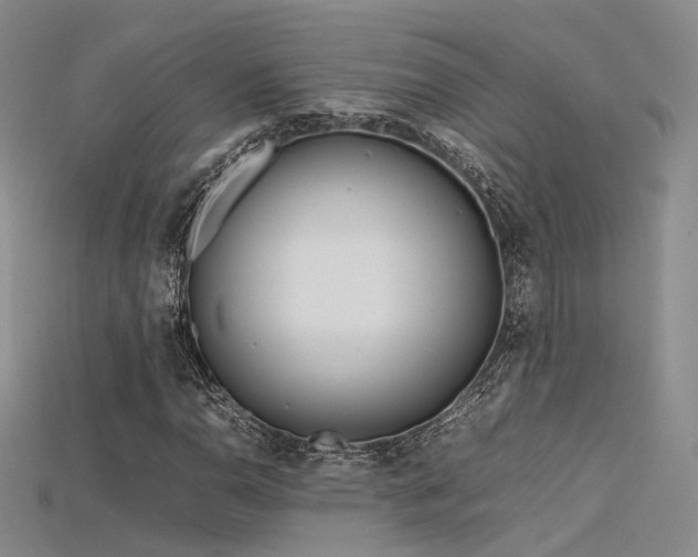 X0000115741110200911121532