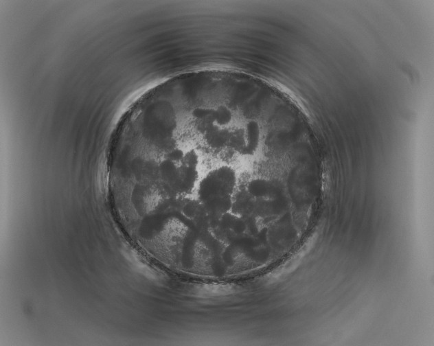 X0000115741117200911121532