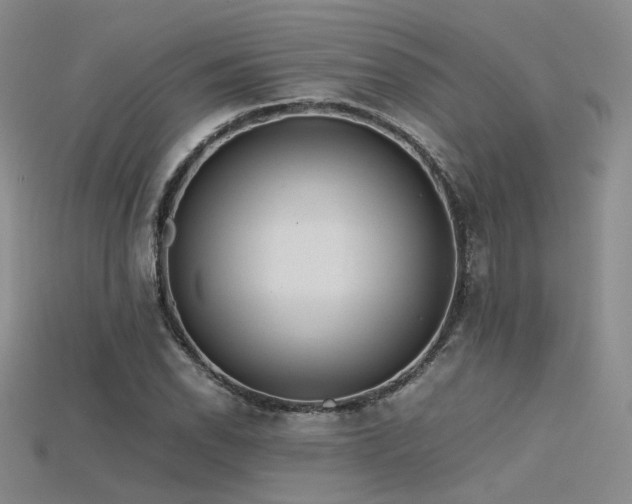 X0000115741118200911121532