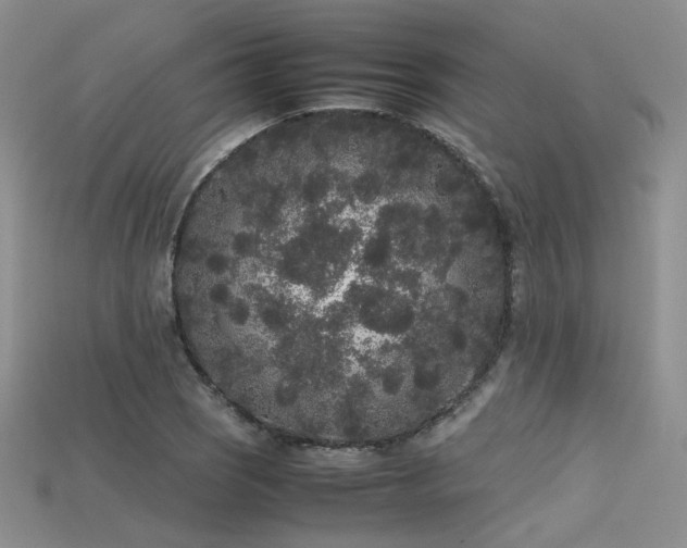 X0000115741121200911121532