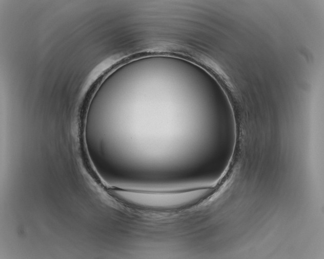 X0000115741122200911121532