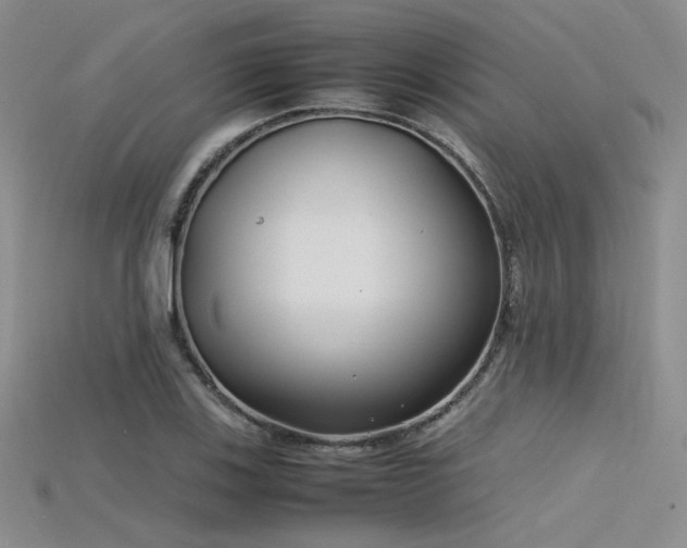 X0000115741123200911121532