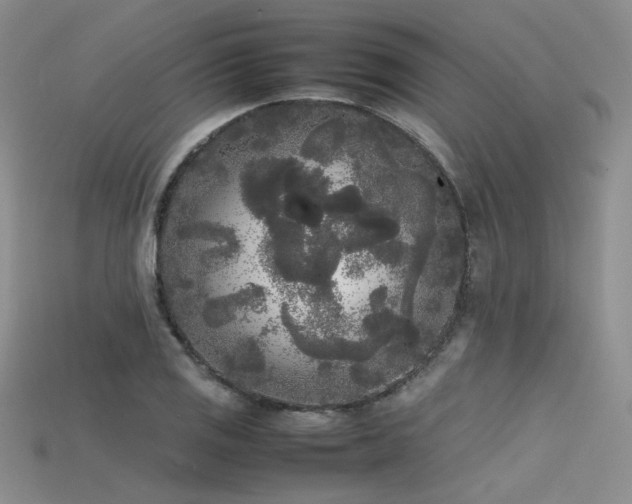 X0000115741125200911121532