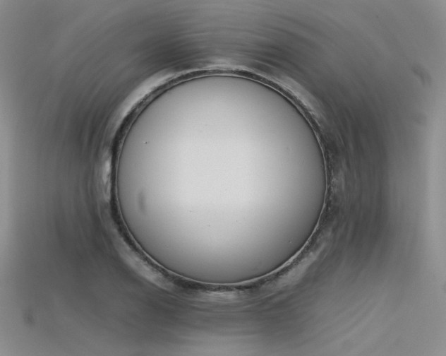 X0000115741126200911121532