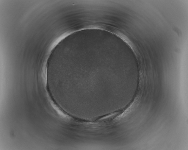 X0000115741127200911121532