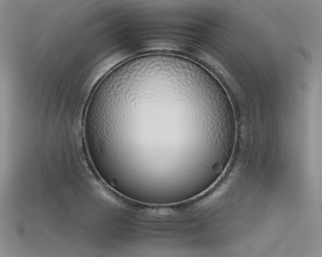 X0000115741129200911121532
