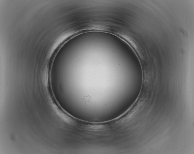 X0000115741131200911121532