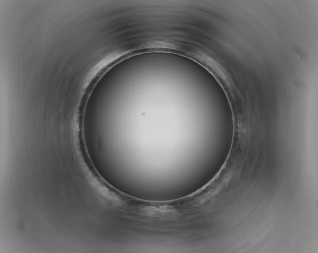 X0000115741133200911121532