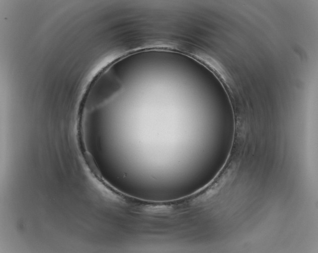 X0000115741135200911121532