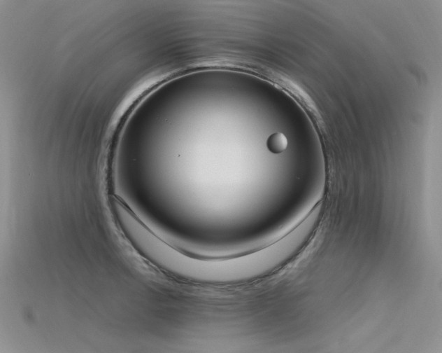 X0000115741138200911121532
