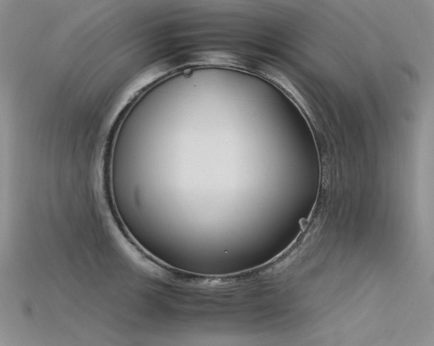 X0000115741139200911121532