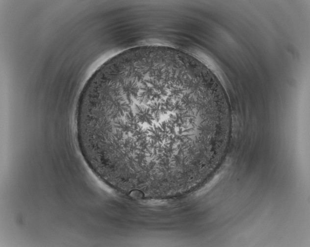 X0000115741141200911121532