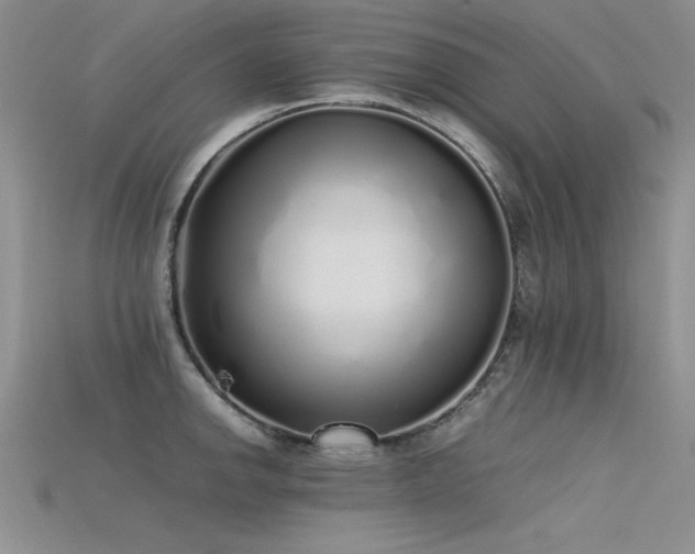 X0000115741142200911121532