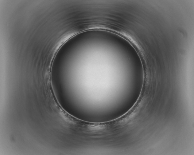 X0000115741145200911121532