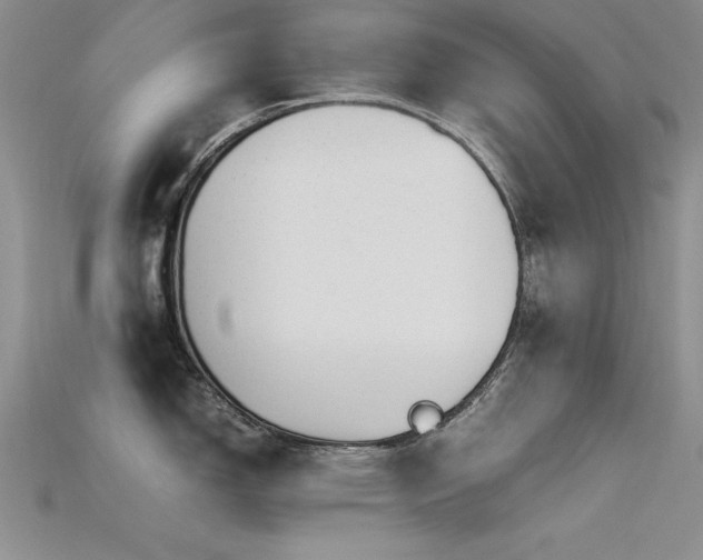 X0000115741150200911121532