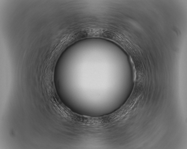 X0000115741153200911121531