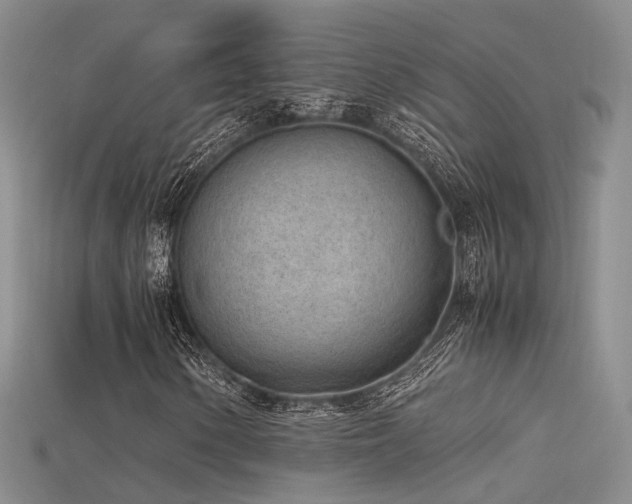 X0000115741154200911121531