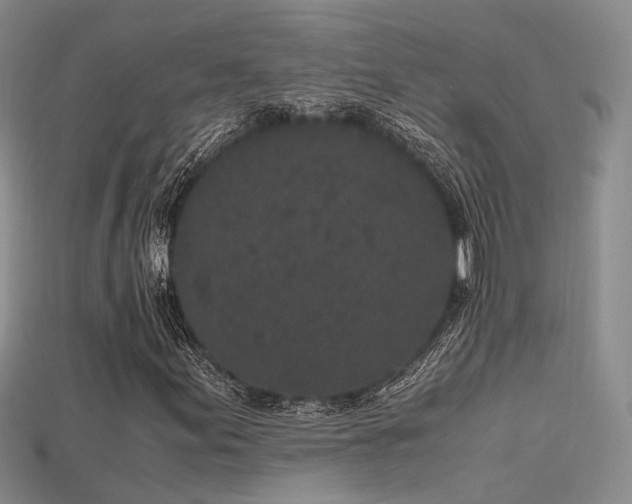 X0000115741155200911121531
