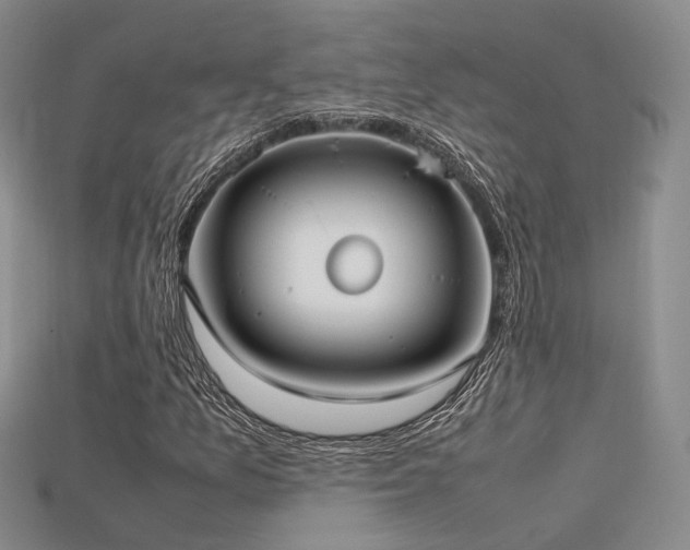 X0000115741157200911121531