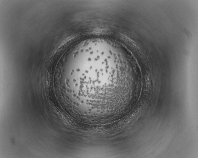 X0000115741158200911121531