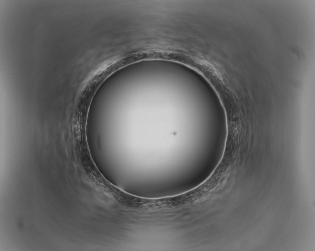 X0000115741159200911121531