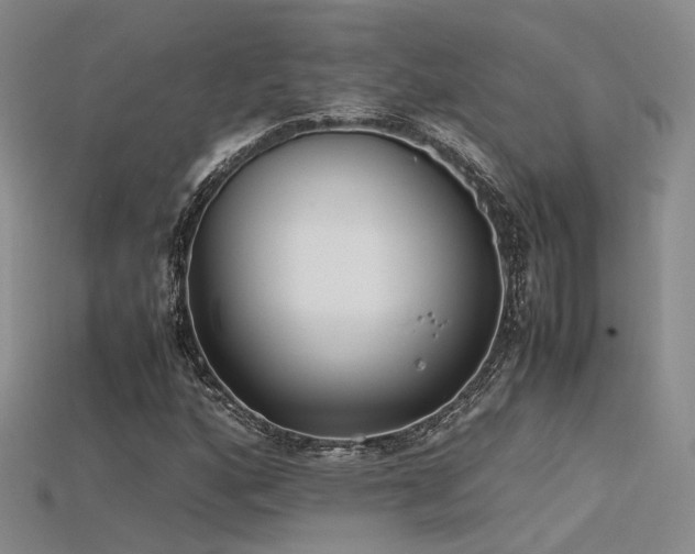 X0000115741160200911121531