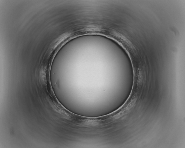 X0000115741162200911121531