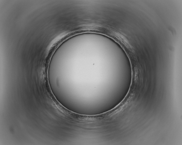 X0000115741164200911121531