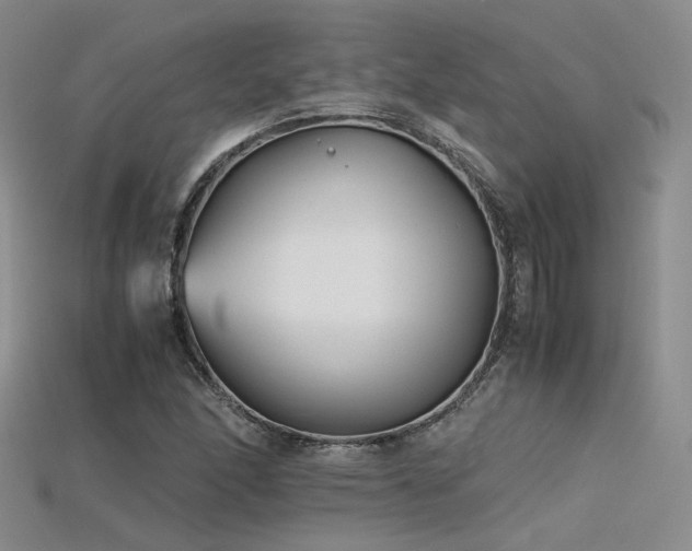 X0000115741166200911121531