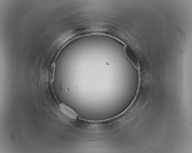 X0000115741169200911121531