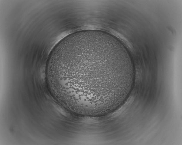 X0000115741170200911121531
