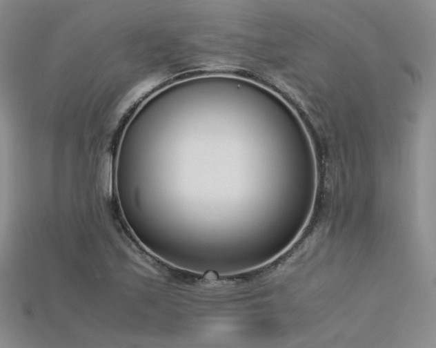 X0000115741171200911121531