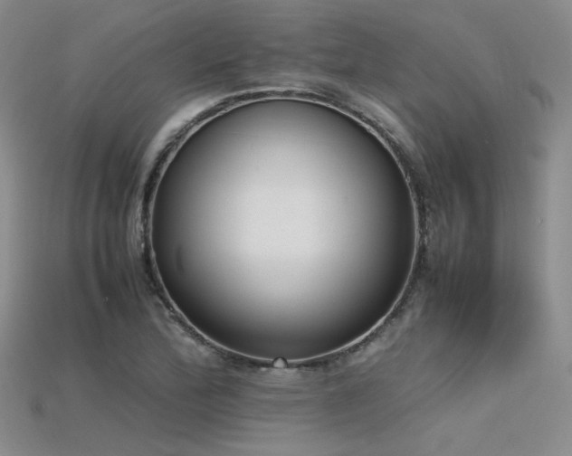 X0000115741172200911121531